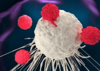 Είναι αυτό το φάρμακο του καρκίνου; Ανακάλυψαν κύτταρο που θα μπορούσε να θεραπεύσει πολλούς