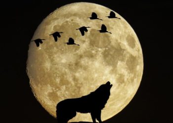 Σήμερα η πανσέληνος του λύκου με  έκλειψη, ορατή και από την Ελλάδα – Τι θα δούμε