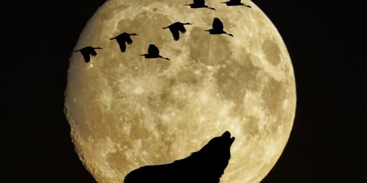 Σήμερα η πανσέληνος του λύκου με  έκλειψη, ορατή και από την Ελλάδα – Τι θα δούμε