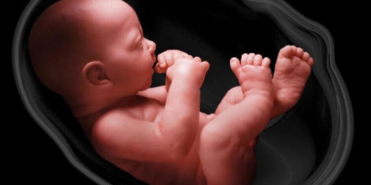 Οι αισθήσεις του εμβρύου σας